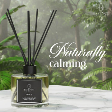 The product in the image is the Essence of Peace Citrus Luxury Reed Diffuser. This 200ml home fragrance product features a fresh citrus scent enriched with premium essential oils and uses black fibre reeds for scent diffusion. 